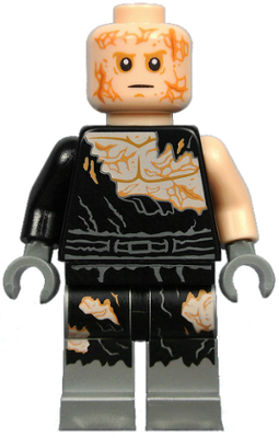 sw0829
