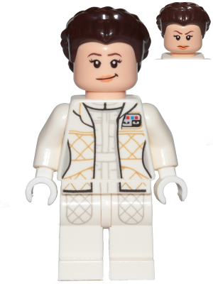 sw958